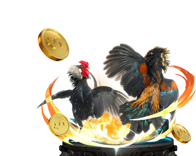 Giới thiệu tổng quan đá gà trực tuyến 97win